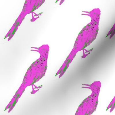 Pink Green Roadrunner