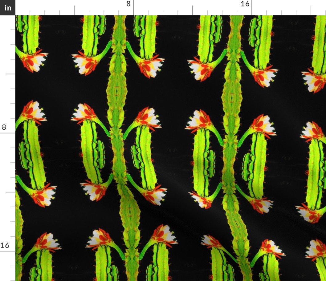 Saturated Cactus