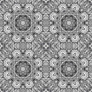 Monochrome Kaleidoscope - 8A