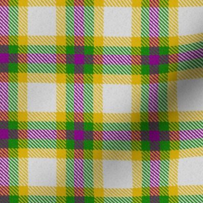 Mardi Gras Plaid 3