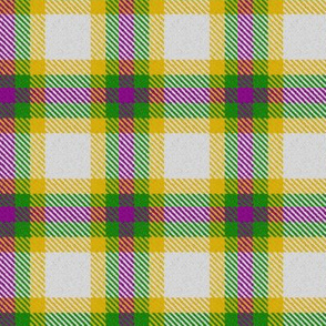 Mardi Gras Plaid 3