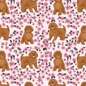 ruby Cavoodle cavapoo dog breed fabric cherry blossom