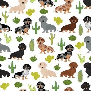 Dachshund dog breed pet fabric pattern cactus white