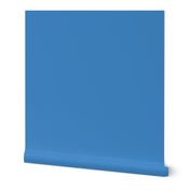  Solid Tufts Blue (#4087C5)