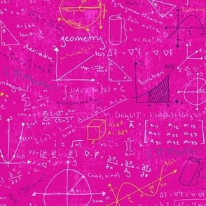 Math Lessons (Pink)