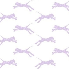 electric tiger in lavender