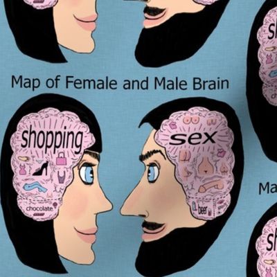 map of female and male brain, adult content, large scale, pink blue black