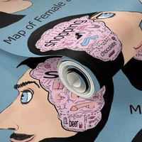 map of female and male brain, adult content, large scale, pink blue black