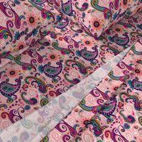 Fancy Pink and Teal Paisley Swirl Pattern