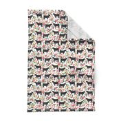 Show Steer cattle farm sanctuary florals animal fabric pattern white