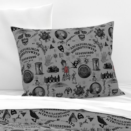 HOME_GOOD_STANDARD_PILLOW_SHAM