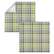 Four Color Bayeux Palette Gingham Plaid Green