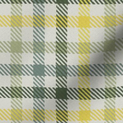 Four Color Bayeux Palette Gingham Plaid Green