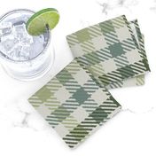 Tri Color Bayeux Palette Gingham Plaid Green