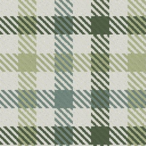 Tri Color Bayeux Palette Gingham Plaid Green