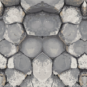 Basalt / Gray Volcanic Rock Hexagon Geometric