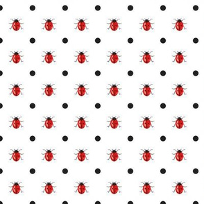 LadyBug with Black Dots on White