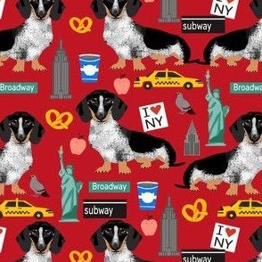 doxie piebald nyc - black and white dachshund travel dog - red