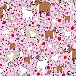 Goats on Pink