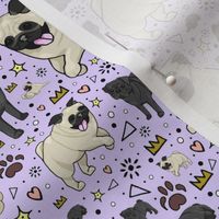 Pugs on Purple