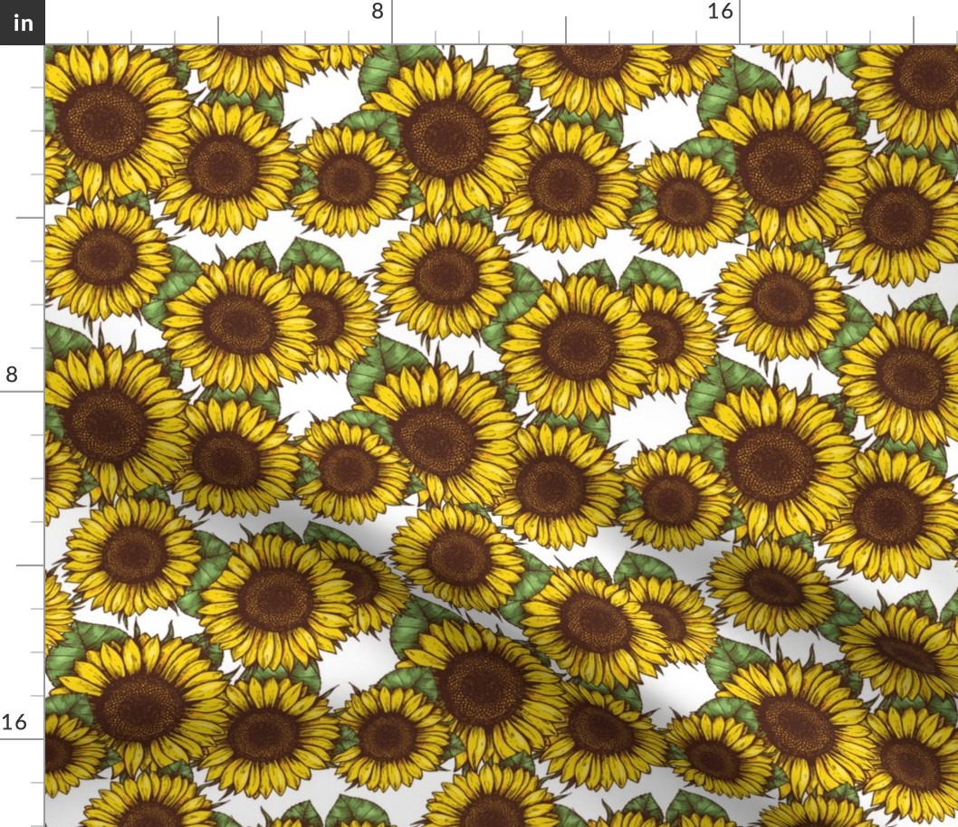 Sunflowers