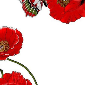 RED_Poppies_with_butterflies_ROTATED_90deg