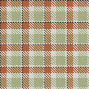 Terra Cotta Light Green Linen and Navy Bayeux Palette Plaid