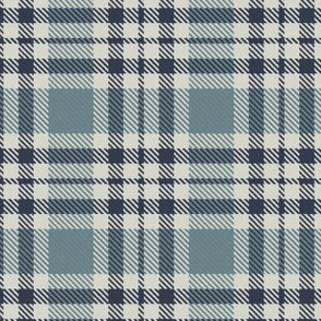 Navy Blue Gray and Linen Bayeux Palette Plaid