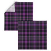 Priest/Clergy tartan, 6" purple - 1819 Wilson's of Bannockburn