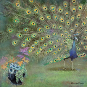 23x18-Inch Panel of Penzance Peacock Oil Painting