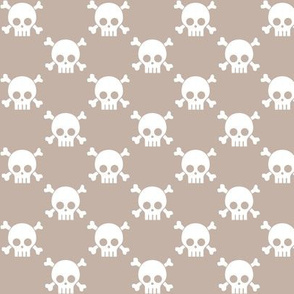 skulls on sand