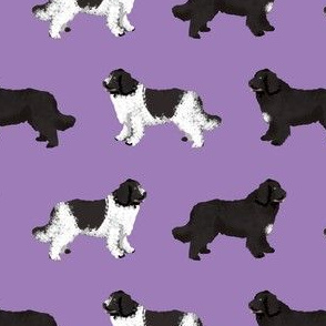 newfoundlands dog fabric cute dogs design newfoundland dog black and landseer dogs purple
