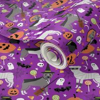 Pitbull halloween costume dog fabric vampire ghost mummy  purple