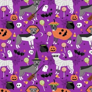 Pitbull halloween costume dog fabric vampire ghost mummy  purple