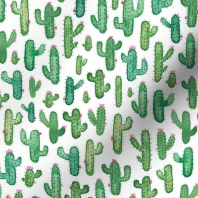 Prickly Watercolour Cacti