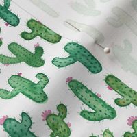 Prickly Watercolour Cacti