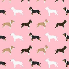 Bull Terrier variety coat colors dog breed fabric by pet friendly pink