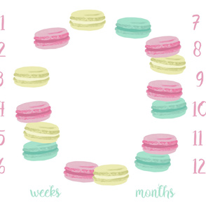 42" x 36" milestone blanket pastel macarons girls sweets design