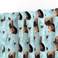 Brussels Griffon Matching Fabric