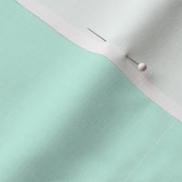 light turquoise background