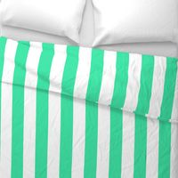 turquoise stripes- wide