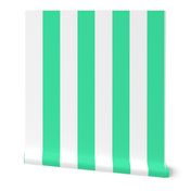 turquoise stripes- wide