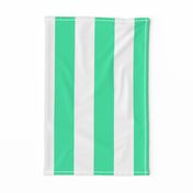turquoise stripes- wide