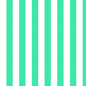 turquoise stripes-medium