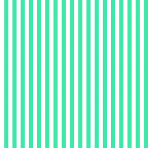 turquoise stripes-thin
