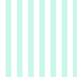 light turquoise stripes-medium