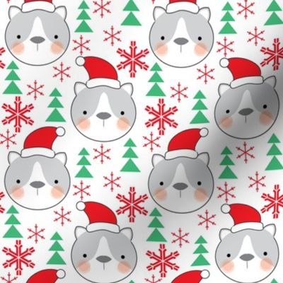 cat-faces-with-santa-hats