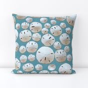 Sand Dollars Teal 150