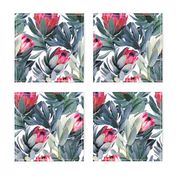 Painted Protea Pattern on White Background