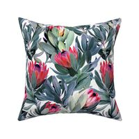 Painted Protea Pattern on White Background